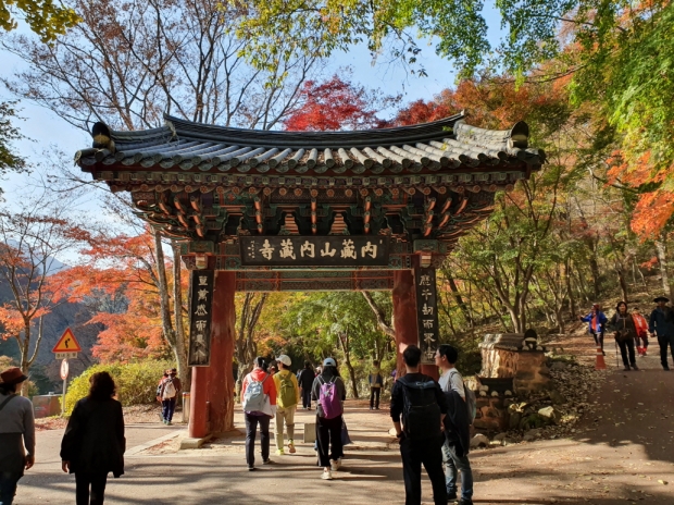 [윤기자의 콕 찍어주는 그곳] 가을이, 산으로 내려오셨네 ― 내장산 단풍축제