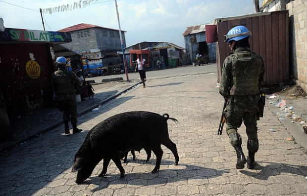 유엔 평화유지군, 아이티 주둔시 소녀들 성 착취…아이 수백 명 낳아