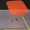 파리채로 쳐도 ‘죽지 않는’ 곤충형 로봇 개발