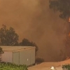 [여기는 호주] 산불에 타죽은 코알라 사진에 호주 국민들 눈물