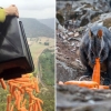 “당근비가 내려요” 호주 야생동물 먹이 2200㎏ 공중살포작전