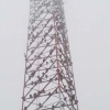 美 90m 무선탑 점거한 콘도르 수백마리에 ‘골머리’