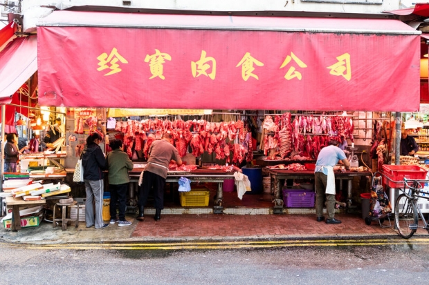 英전문가 “中 우한 폐렴, 동물 간 감염 통해 돌고 돌다가 강해졌을 것”