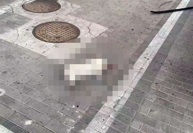 고층서 내던져진 반려견…신종코로나 가짜뉴스에 애꿎은 동물 피해