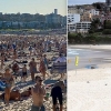 [여기는 호주] ‘사회적 거리두기’ 본격화…시드니 본다이 해변 전과 후