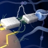 美 연구진, 인간의 뇌를 모방한 핵심 전자칩 개발 중