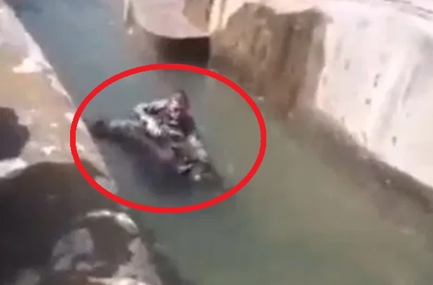 술에 취해 동물원 곰 우리에 들어가 학대한 폴란드 남성 (영상)