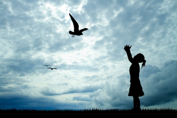 “감히 비싼 애완조를 날려?”…8세 소녀 살해한 파키스탄 부부