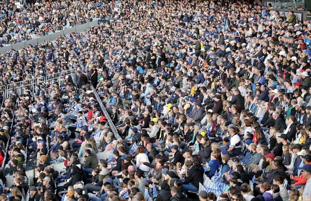 마스크 안 써도 OK!…뉴질랜드 럭비 구장 채운 관중 4만 3000명