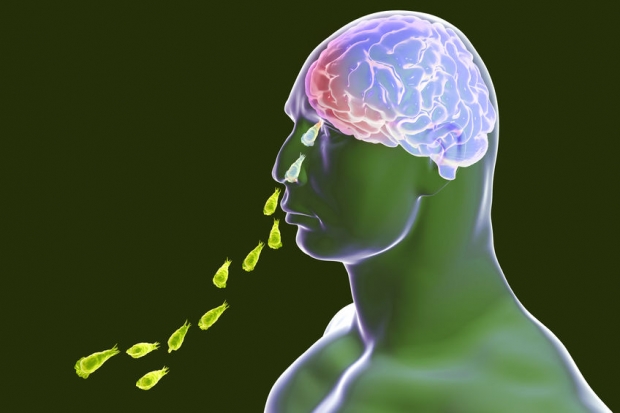 美서 ‘뇌 먹는 아메바’ 감염 발생…치사율 90% 넘어 당국 우려