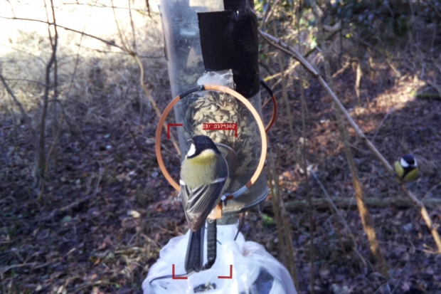 [고든 정의 TECH+] AI, 조류학자를 돕다…사진만으로 새 구분하는 딥러닝