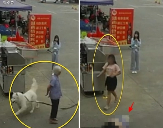 [여기는 중국] 대형견 목줄에 걸려 넘어진 80대 노인 사망