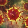 ‘항생제 내성’이 코로나19보다 더 무서운 과학적 이유(연구)