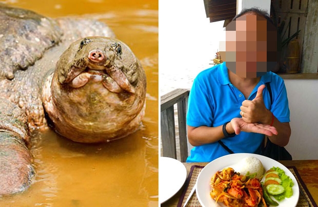 한국계 호주 대사, 멸종위기 ‘자라 요리’로 몸보신했다가 혼쭐