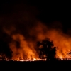 40도 폭염에 불타는 파라과이…진행 중인 화재 7000건 돌파
