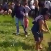 [여기는 남미] 트럭 사고로 쏟아진 돼지, 길에서 도축한 주민들