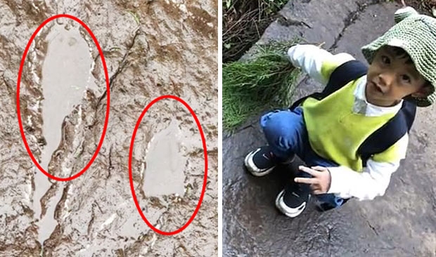 모두가 ‘닭발’이라는데…공룡 발자국 화석 찾아낸 中 5살 소년