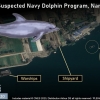“北, 돌고래를 ‘군사용 무기’로 훈련중”…위성사진 보니