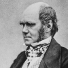 결국 찰스 다윈이 옳았다? 160년 만에 검증된 바람 가설 (연구)