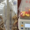 [여기는 중국] 젤리와 초코 과자 속에 마약이…신종 유통 적발