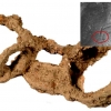 족쇄 묶인 채 버려진 1800년 전 로마군의 노예 유골 발견