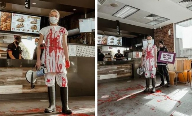 [여기는 호주] “치킨먹으면 학살자”…KFC서 시위하는 동물운동가