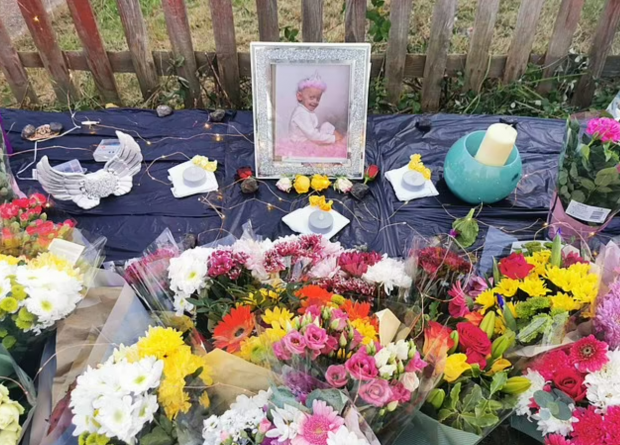 [월드피플+] BTS를 사랑한 ‘신체나이 144세’ 18살 英소녀, 세상 떠났다