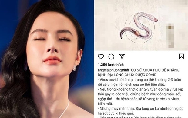[여기는 베트남] “산 지렁이 먹으면 코로나19 낫는다”…유명 여배우 민간요법 논란