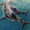 [핵잼 사이언스] ‘괴물 상어’ 메갈로돈, 고대 향유고래도 공격…최초 화석 발견