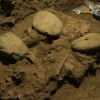 인니 술라웨시섬서 7000년 전 ‘새로운 현생인류’ 발견