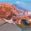영양실조 걸린 잠수 못하는 바다거북 구조…원인은 플라스틱 쓰레기