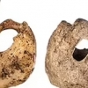 [핵잼 사이언스] 인류 최초의 액세서리…15만 년 전 ‘구슬 장신구’ 발견