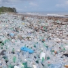 [안녕? 자연] 해안가에 쓰레기 가득…무심코 버렸다가 쓰나미로 몰려왔다