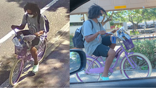 [임지연의 내가갔다, 하와이] 백악관도 주시하는 하와이 캠퍼스 성범죄