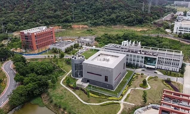 WHO 전문가 “박쥐에 변종 바이러스 전파 계획, 코로나19 기원 설명 가능”
