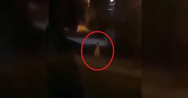 [여기는 남미] 유령 놀이하던 20대 멕시코 여성, 길에서 총맞고 사망