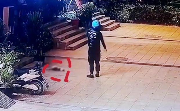[여기는 중국] 택배 직원의 화풀이?…아파트 사는 새끼 고양이 학대 살해