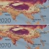 “탄소 감축 안하면 50년 후 35억 명은 사막 더위 허덕인다”