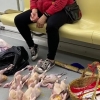 [여기는 중국] 지하철 전동차 안에서 생닭 늘어놓고…황당 불법 판매