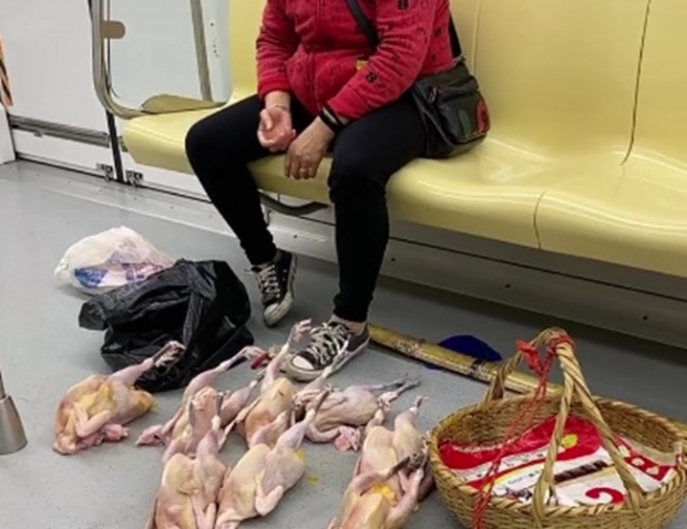 [여기는 중국] 지하철 전동차 안에서 생닭 늘어놓고…황당 불법 판매