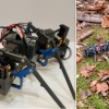 서로 몸 연결해 지형 극복…美 연구진 ‘로봇 개미’ 개발