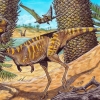남미서 ‘새부리 닮은 주둥이’ 지닌 공룡 최초 발견