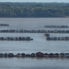 아마존의 눈물…金 캐러 강에 몰려든 수백 척의 불법 선박