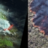 [지구를 보다] ‘생태계 보고’ 갈라파고스서 화산 폭발…멸종위기종 괜찮을까?