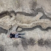 [다이노+] 길이 10m, 꼬리까지 거의 완벽…英 최초 트리고노돈 어룡 화석