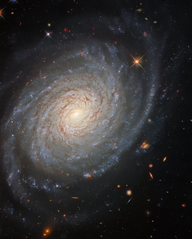 [우주를 보다] 아름다운 나선팔…초신성 품은 은하 NGC 976 포착