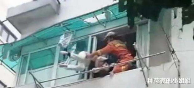 술 취한 20대 여성, 베란다서 구토 중 거꾸로 매달려 119 신고