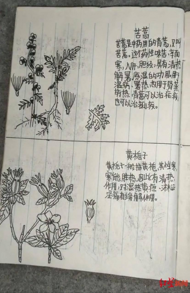 타고난 그림 실력가진 천재 아버지와 아들 두고 중국 사회 논란
