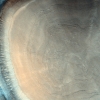 [우주를 보다] 나무 그루터기 같네…화성 기후 역사 품은 ‘나이테 크레이터’