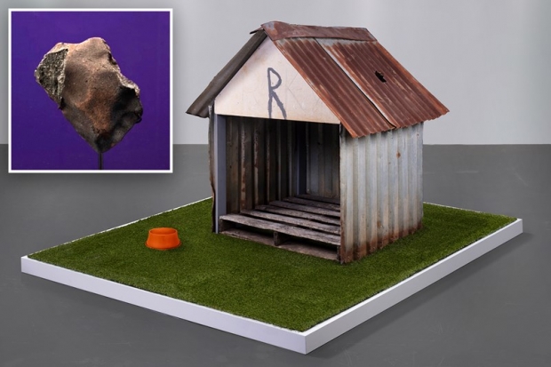 ‘우주의 로또’가 하늘에서 뚝?…개집에 떨어진 ‘운석’ 경매